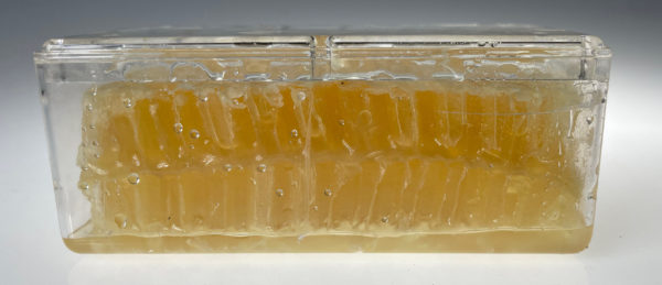 Combed Honey